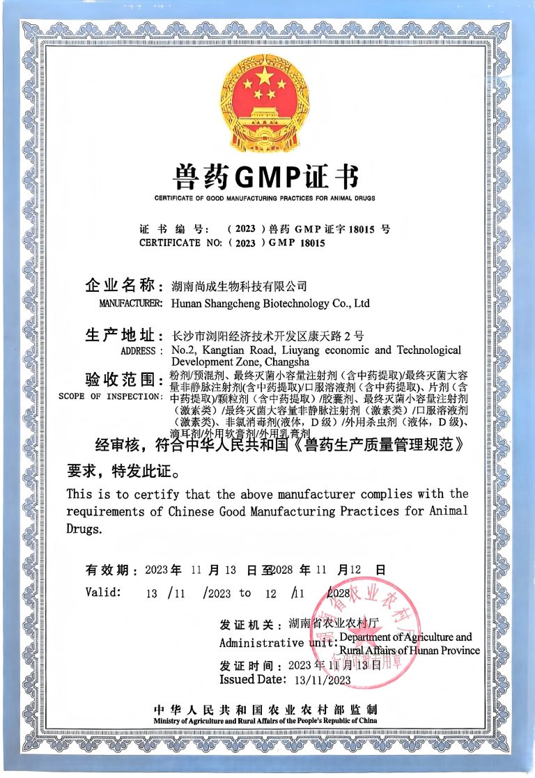 GMP